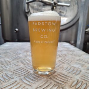 Padstow 1/2 Pint Glass